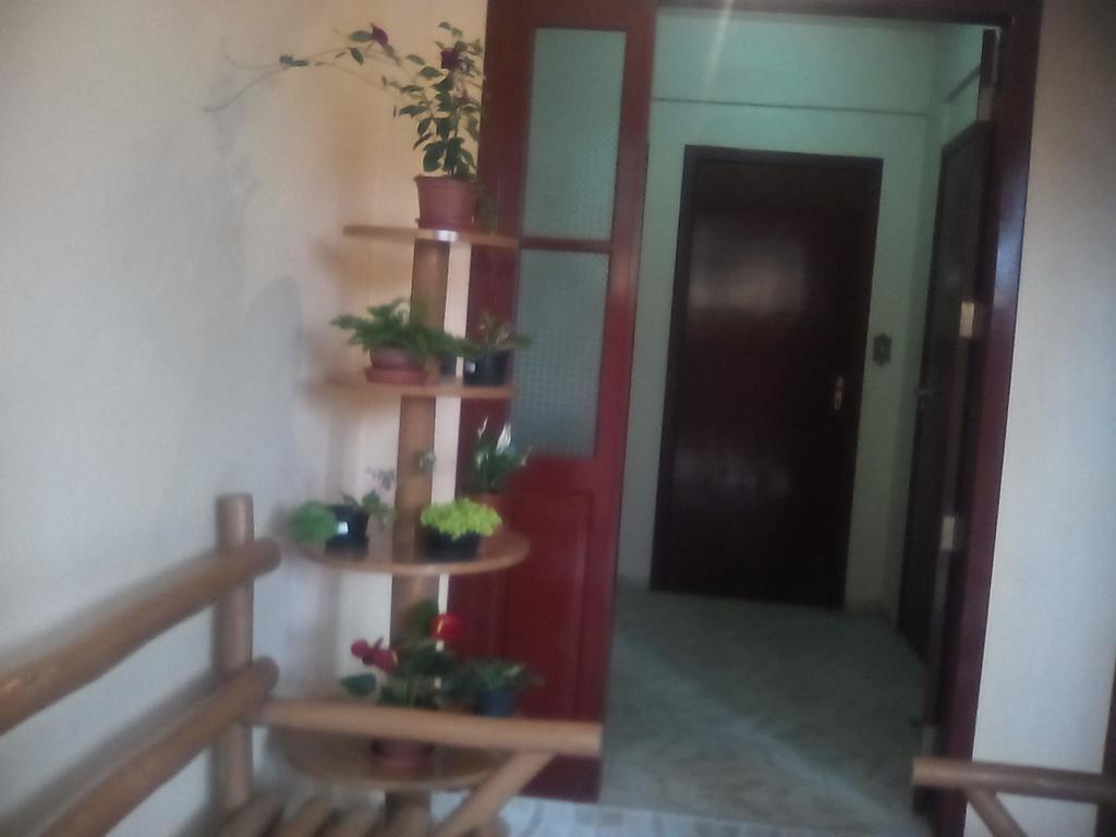 Residencial Dona Vilma 호텔 Florianópolis 외부 사진